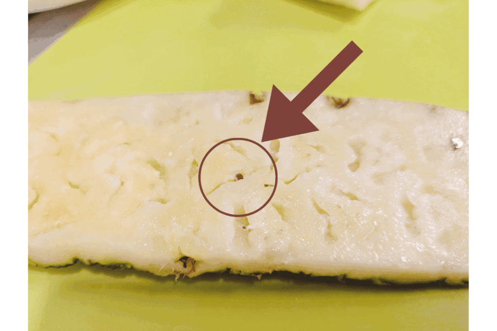 皮に埋まったパイナップルの種の写真