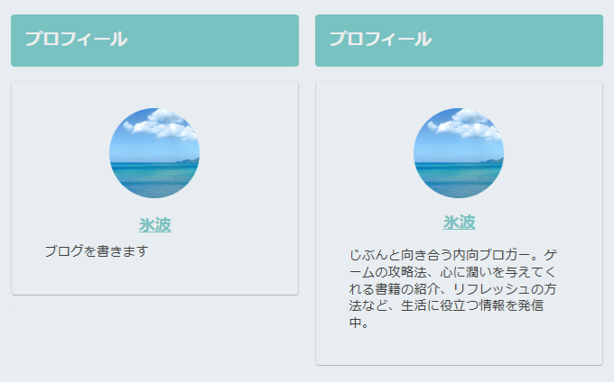 プロフィールのミス
